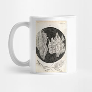 Cork cells, Hooke's Micrographia (1665) (C024/3956) Mug